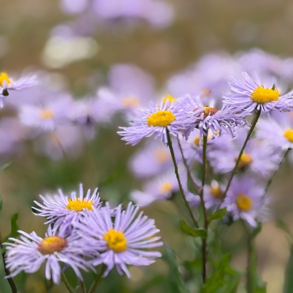 Meet your Posher, Viktorija - Picture 1 of 1